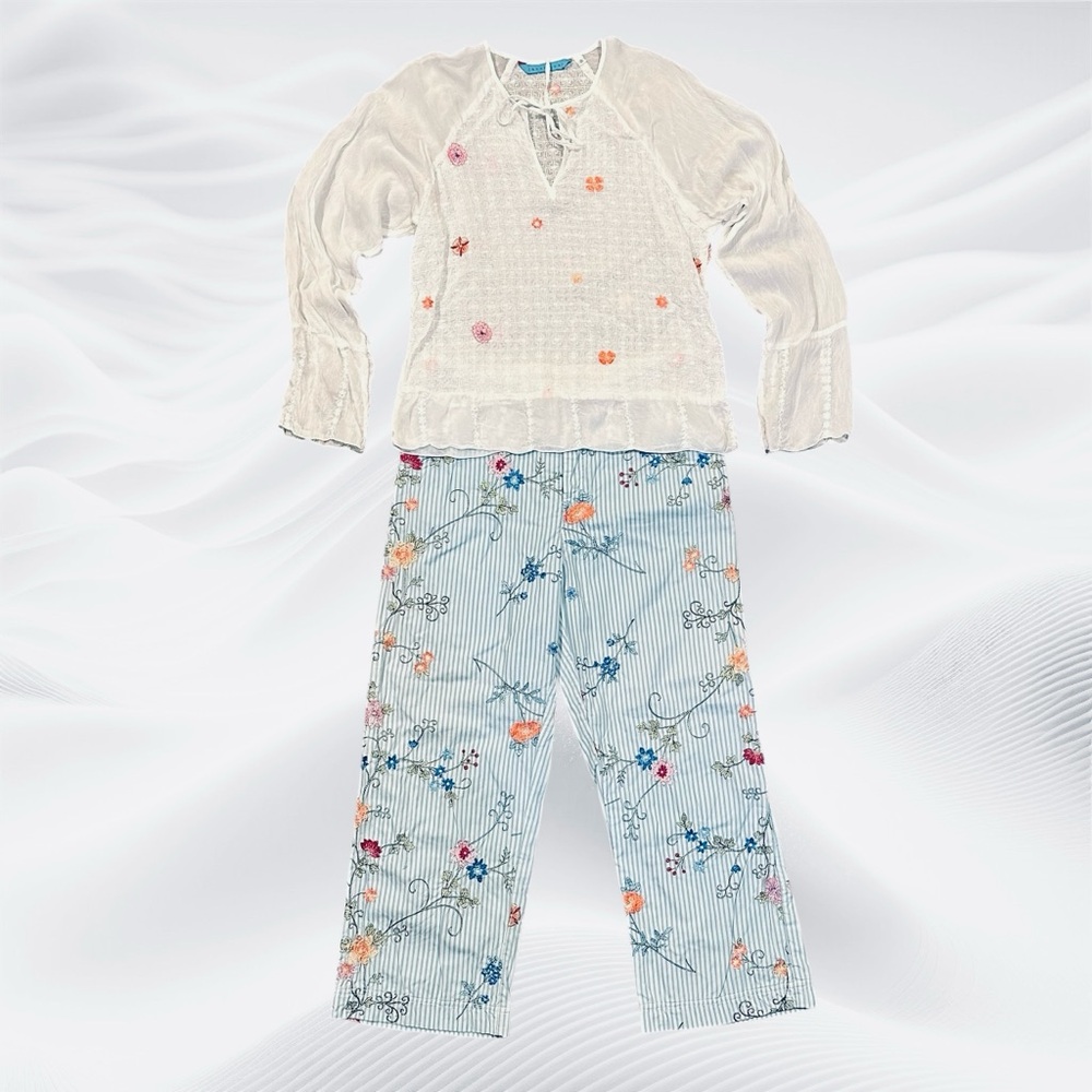 Johnny Was Two Piece Small Embroidered Set Blouse Pants Floral Stripe
